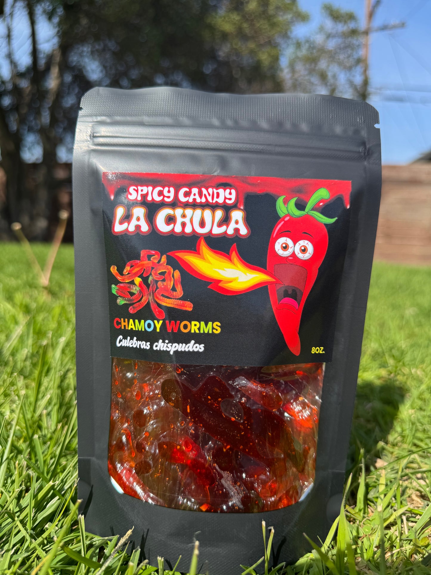 Chamoy Worms - Culebras chispudos